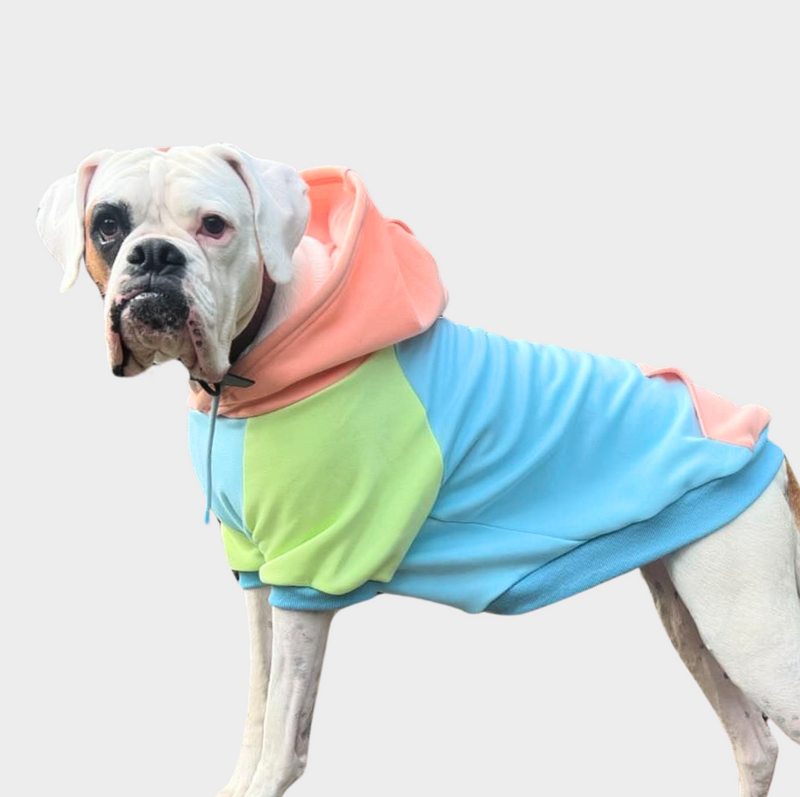 Jelly Bean Sudadera para Perro