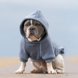 Sudadera Esencial para Perros - Azul Pizarra