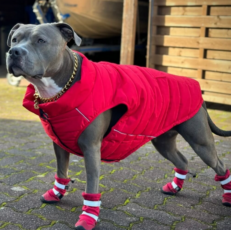 Botas para perros resistentes al agua con estructura flexible - Rojo