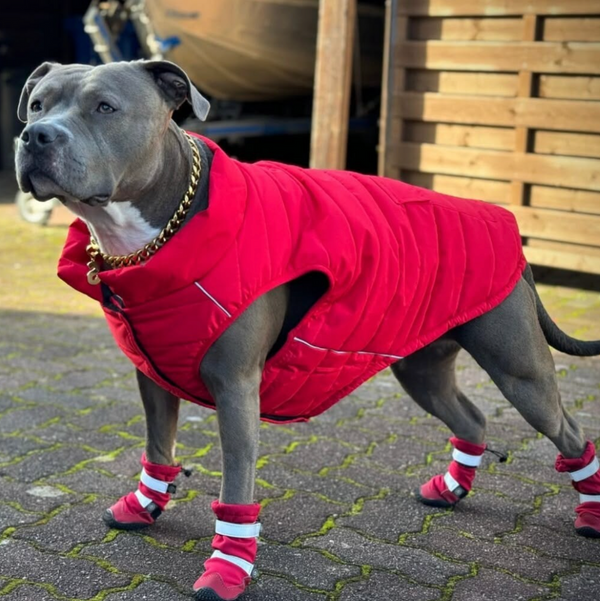 Chaqueta impermeable WarmShield™ - Rojo