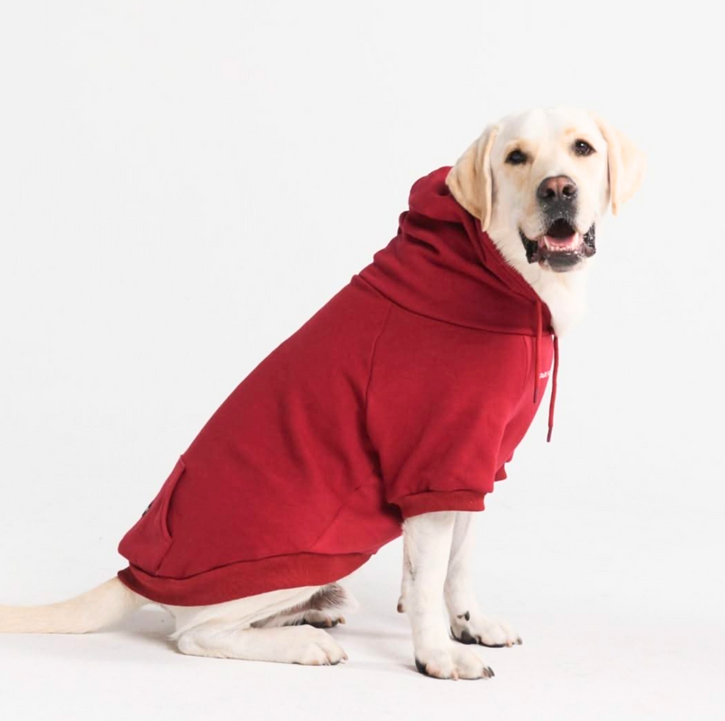 Sudadera Esencial para Perros - Burdeos