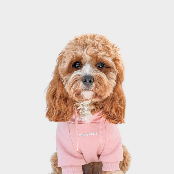 Sudadera Esencial para Perros - Rosa Empolvado