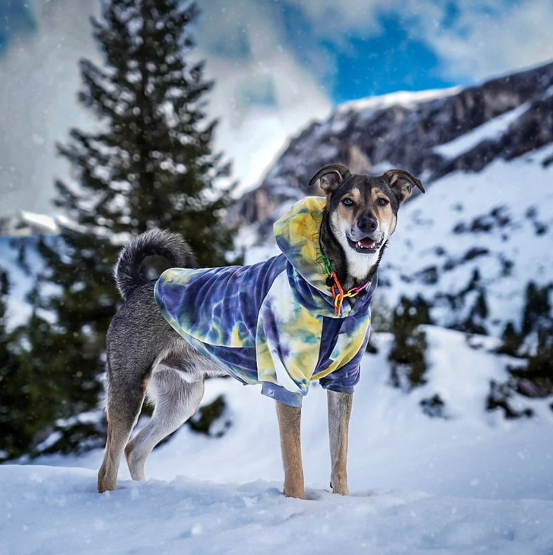 Sudadera de Terciopelo para Perros - Nova