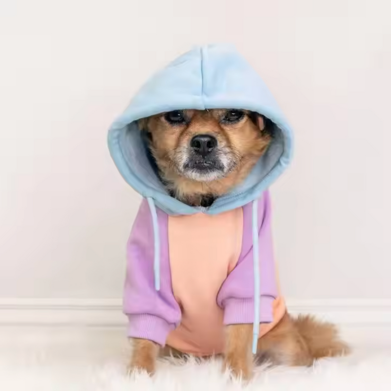 Sudadera para Perros - Algodón de azúcar