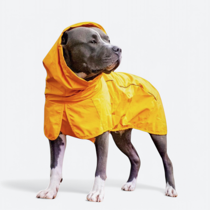 Dog Raincoat - Yellow