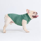 Camiseta para perro con bloqueador solar - Verde oscuro
