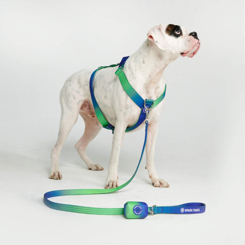 Lime Wave Harness