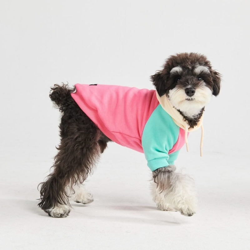 Sudadera para Perros - Crema Rosa Turquesa