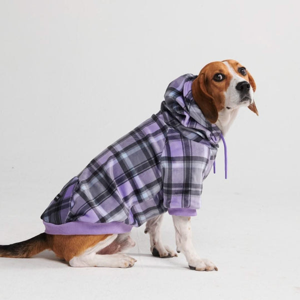 Sudadera a Cuadros para Perros - Cuadros morados