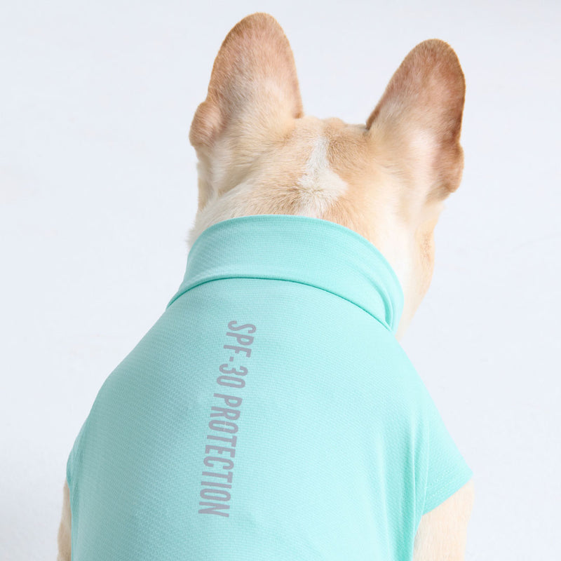Camiseta para perro con bloqueador solar - Turquesa