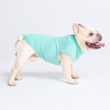 Camiseta para perro con bloqueador solar - Turquesa