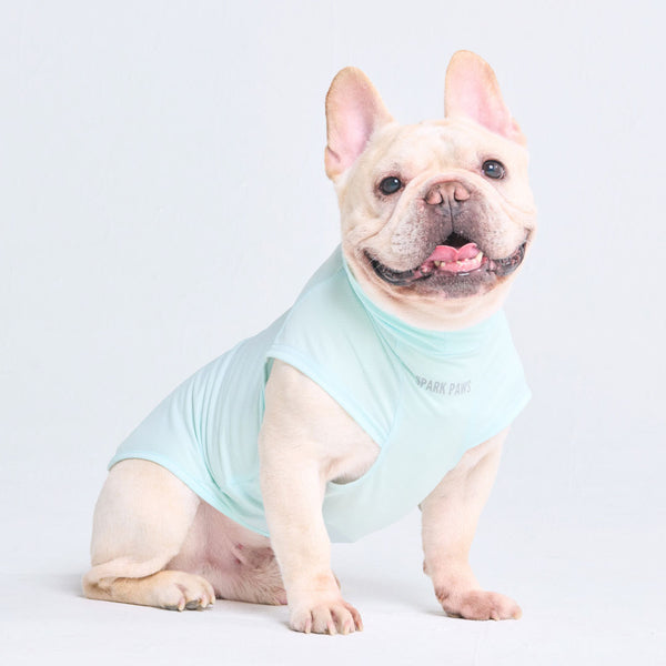 Camiseta para perro con bloqueador solar - Azul claro