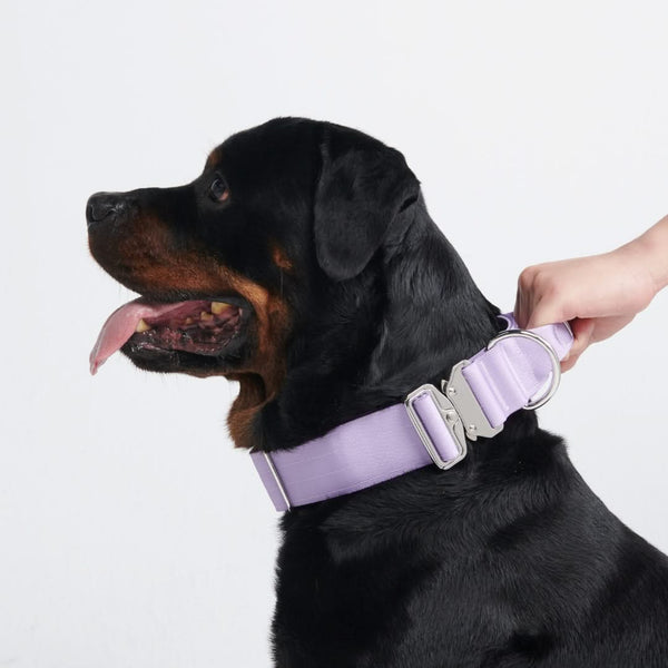 Collar Táctico para Perro - Lila