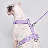 Juego de arneses para perros Comfort Control No-Pull - Lila