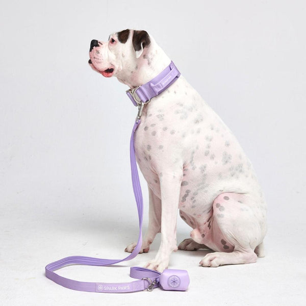 Conjunto de collar táctico para perros - Lila