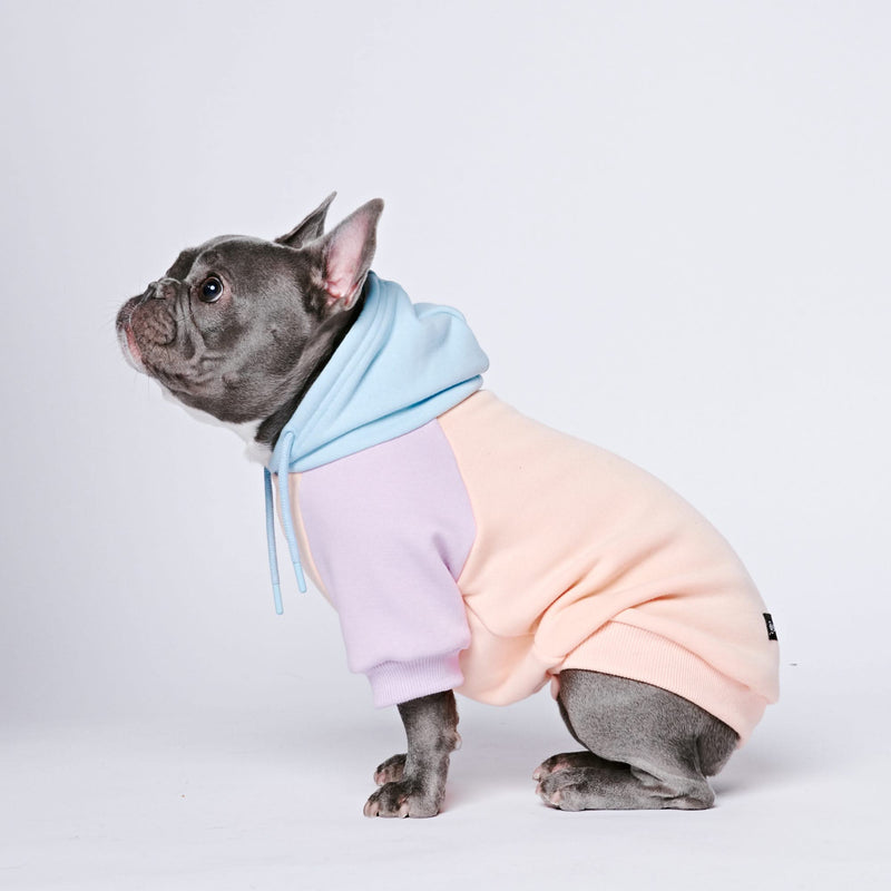 Sudadera para Perros - Algodón de azúcar