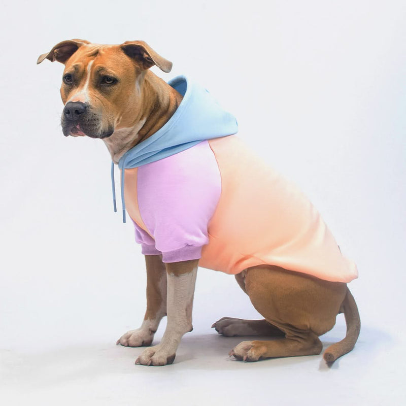 Sudadera para Perros - Algodón de azúcar