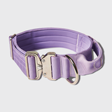 Conjunto de collar táctico para perros - Lila