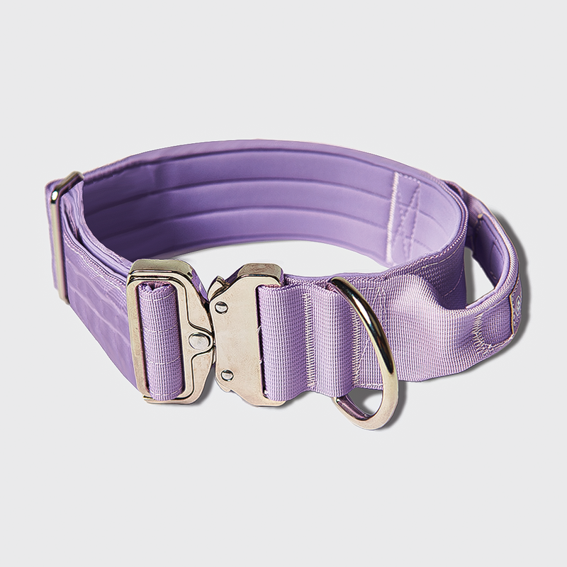 Conjunto de collar táctico para perros - Lila