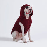 Chaqueta de perro Teddy Sherpa - Granate