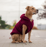 Chaqueta de perro Teddy Sherpa - Granate